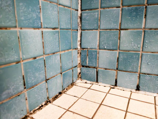 Best Residential Mold Inspection & Testing  in Fairdale, PA